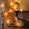 Perfect Holiday 20 LED MICRODOT MAPLE LEAF STRING LIGHTS, WARM WHITE,TOTAL LENGTH 2.2M, LEAD WIRE 30CM